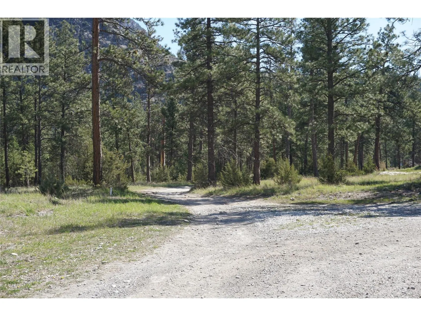 LOT 1 TAMARACK Street