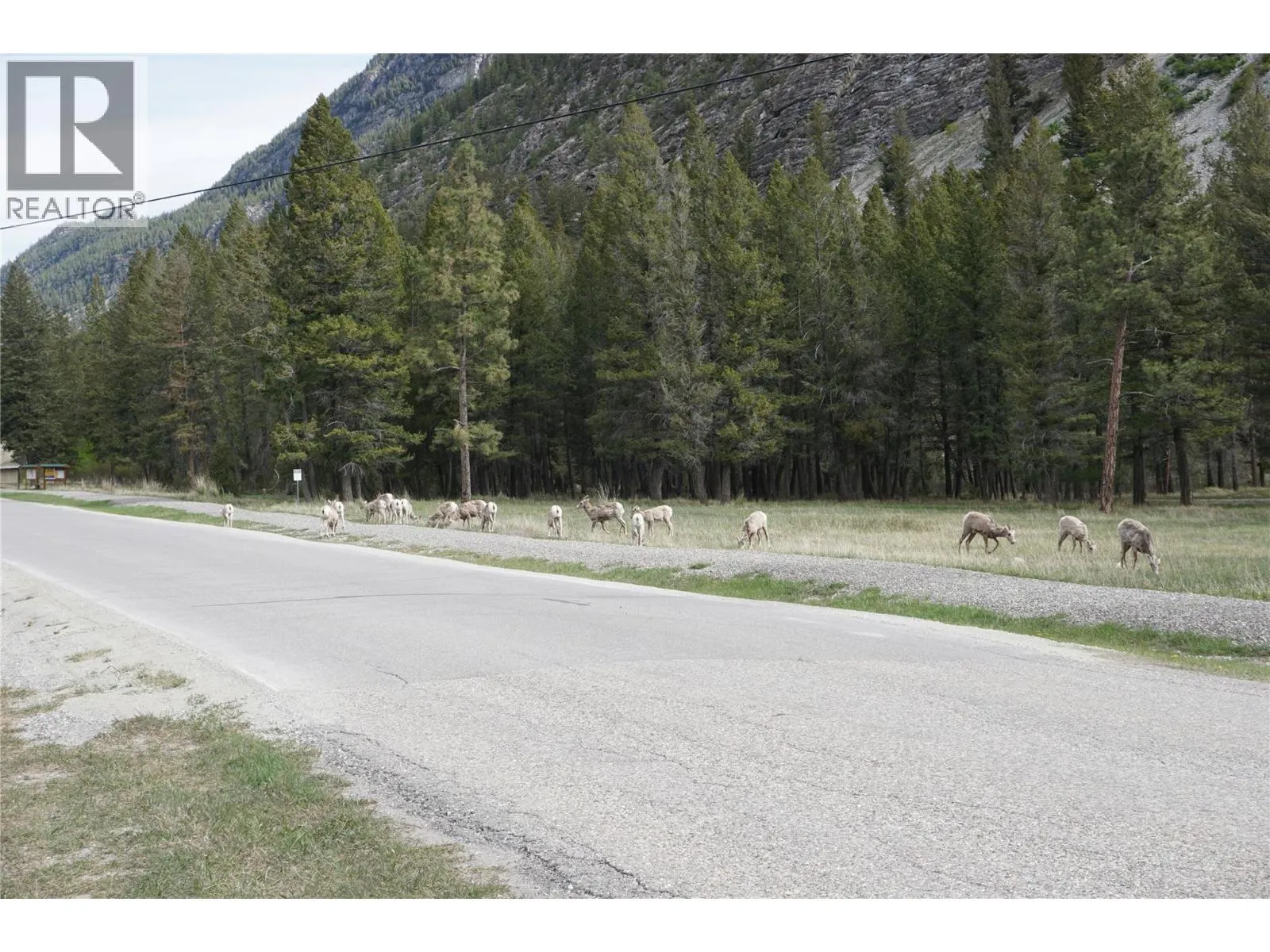 LOT 1 TAMARACK Street