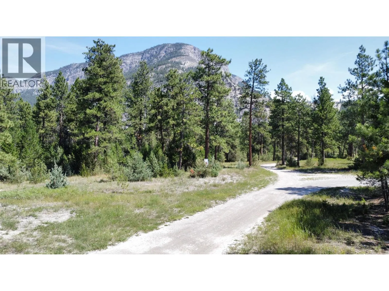 LOT 1 TAMARACK Street