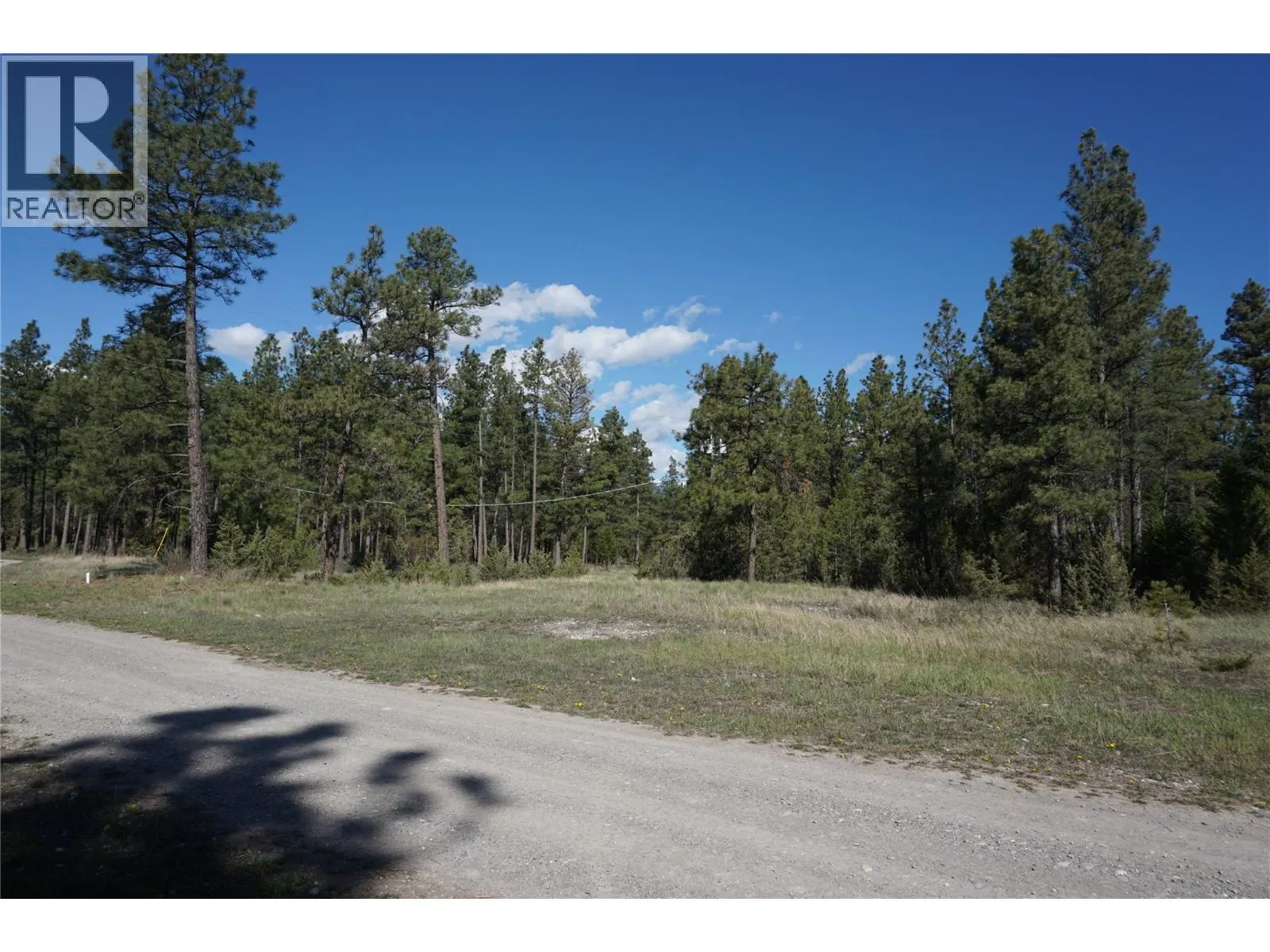 LOT 1 TAMARACK Street