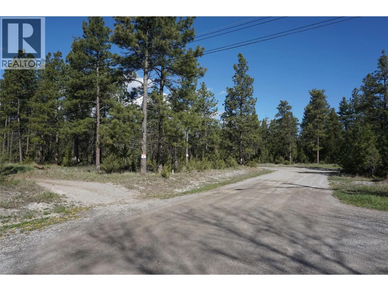 LOT 1 TAMARACK Street