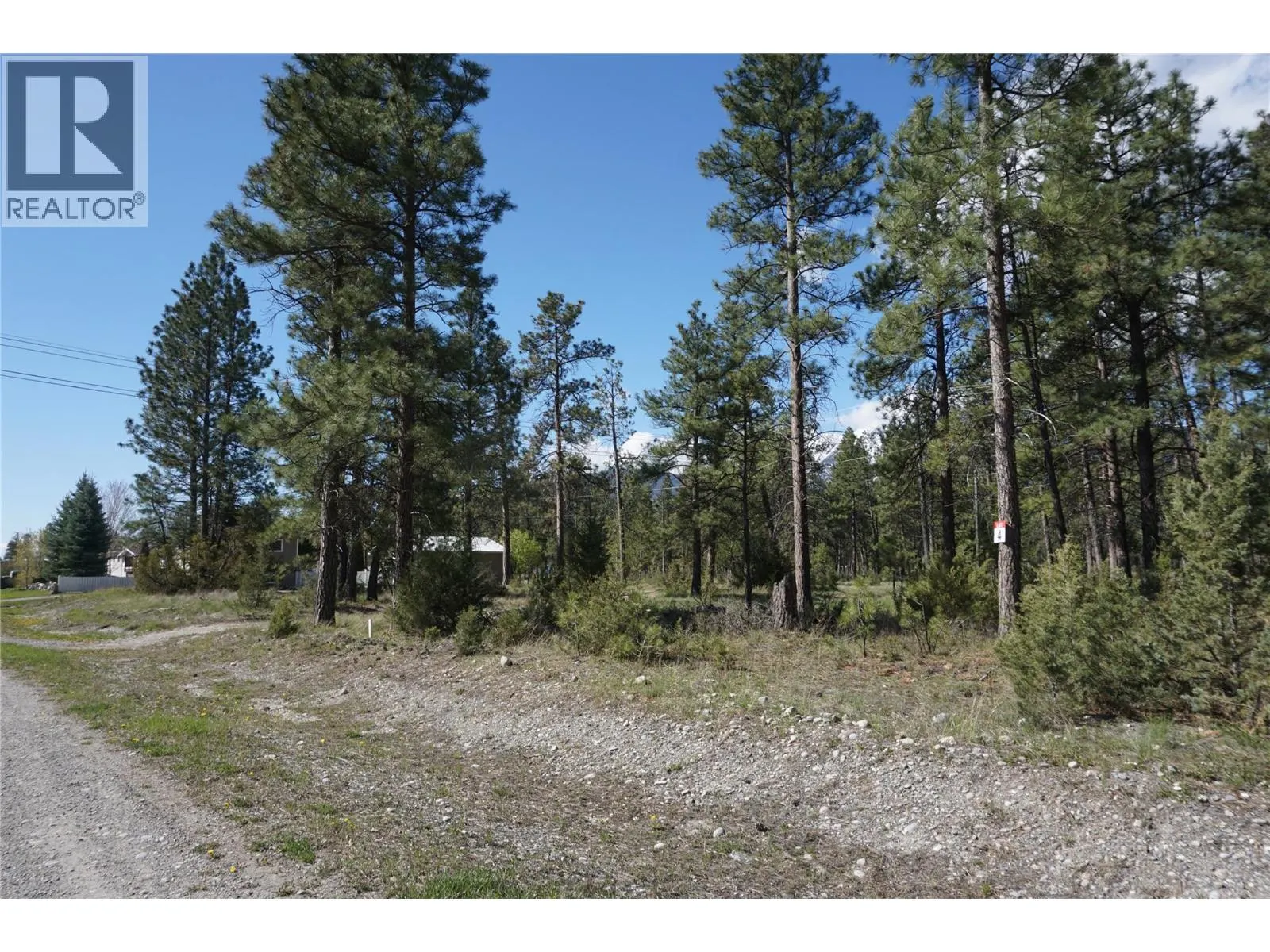 LOT 1 TAMARACK Street