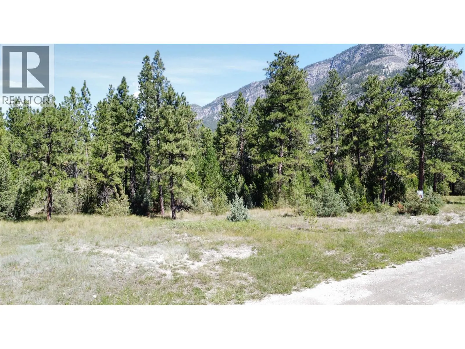 LOT 1 TAMARACK Street