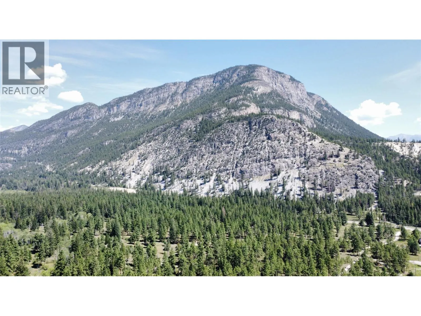 LOT 1 TAMARACK Street