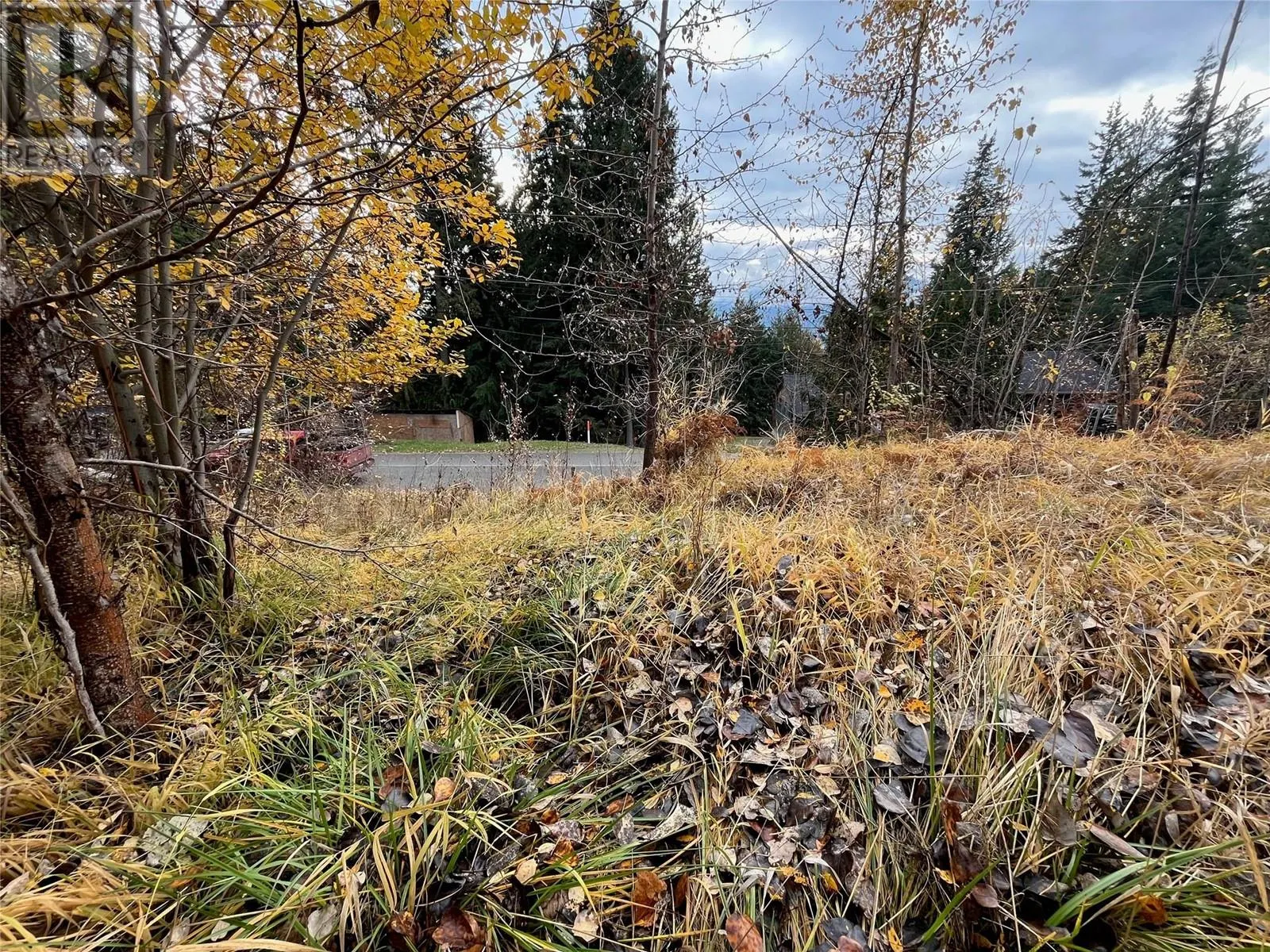 Lot 150 Anglemont Drive Lot# 150