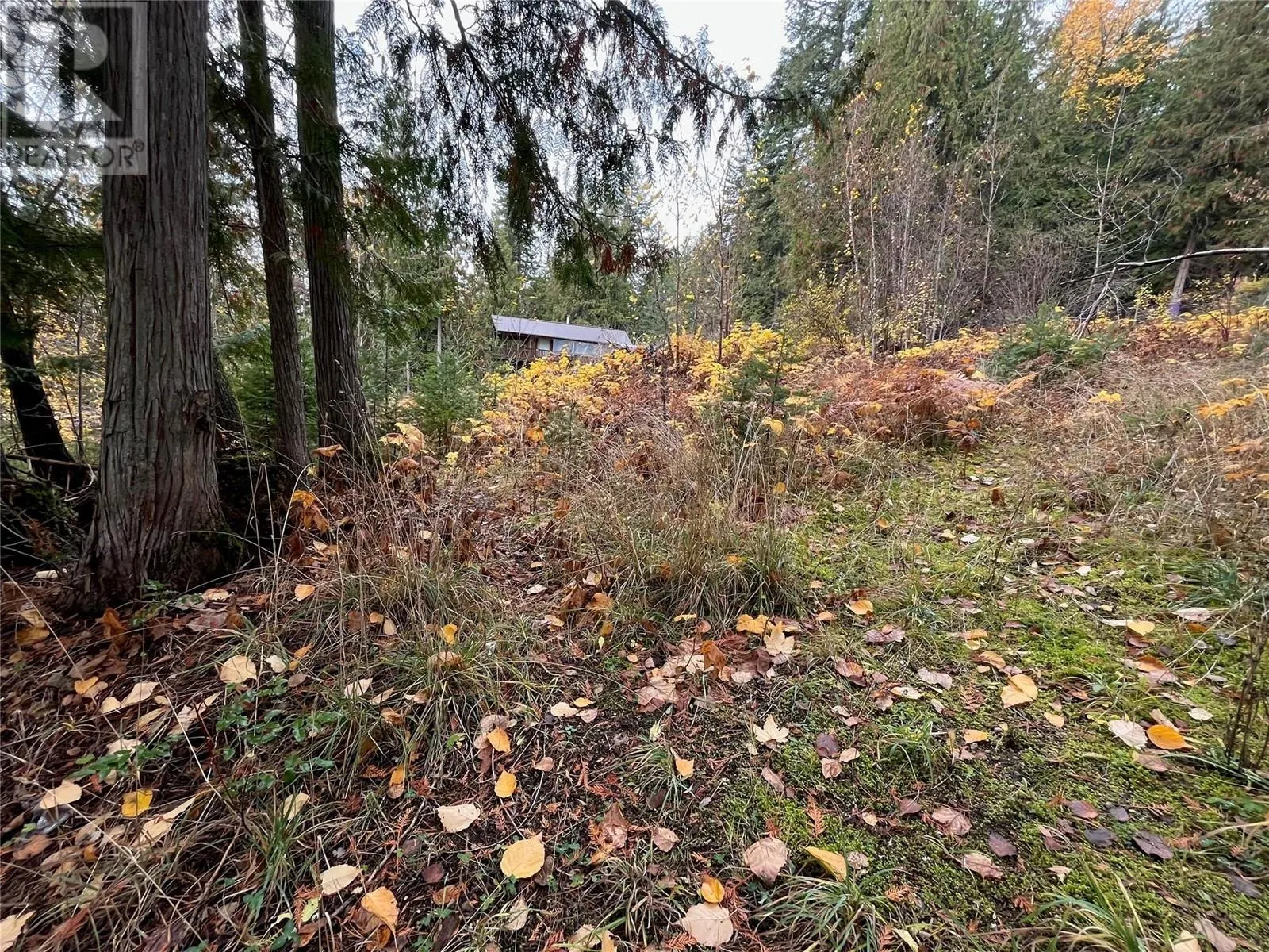 Lot 150 Anglemont Drive Lot# 150