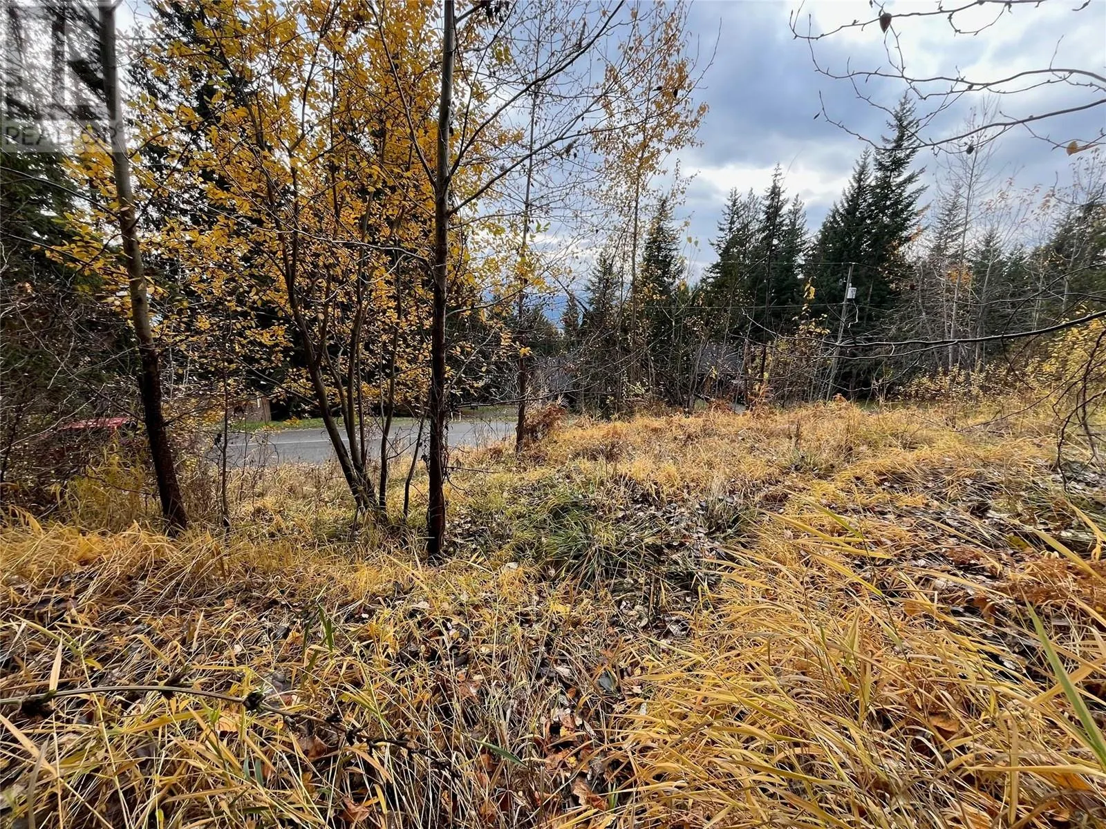 Lot 150 Anglemont Drive Lot# 150