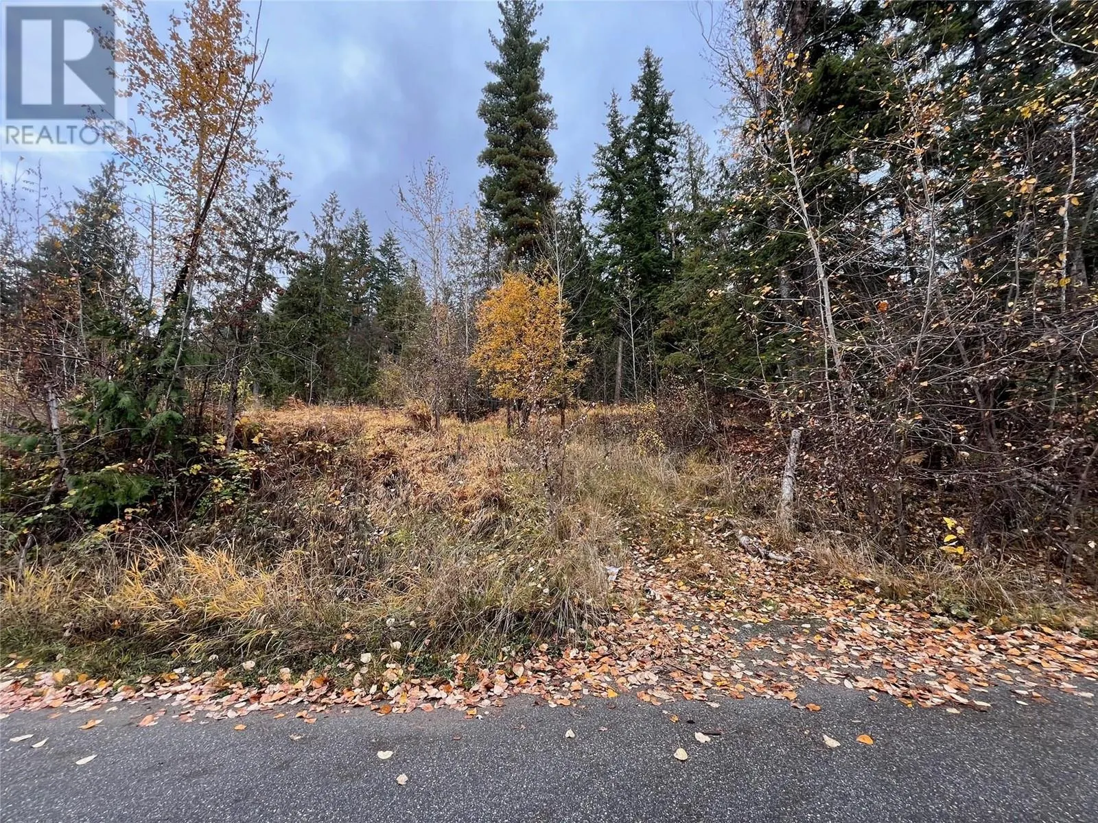 Lot 150 Anglemont Drive Lot# 150