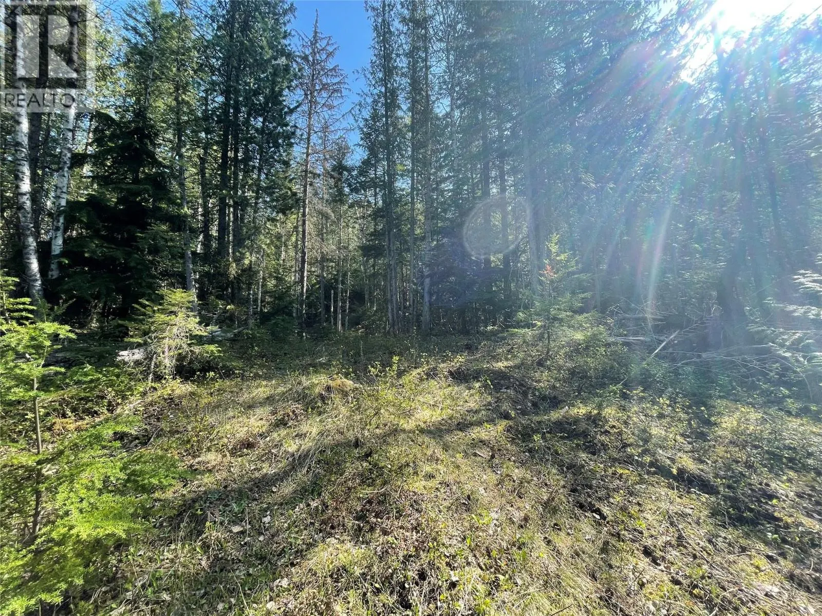 1918 Camozzi Road