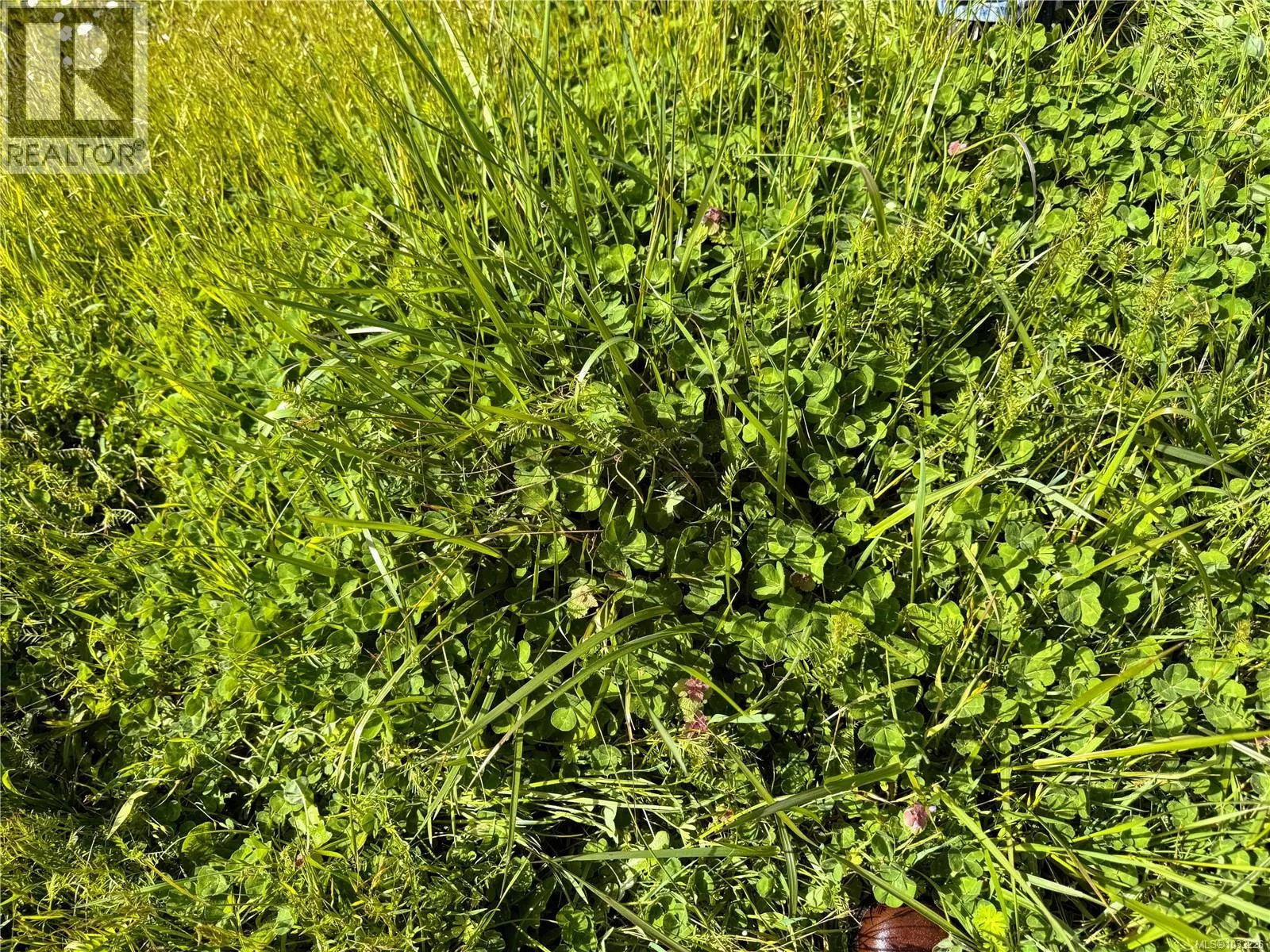 Lot B Rocky Point Rd