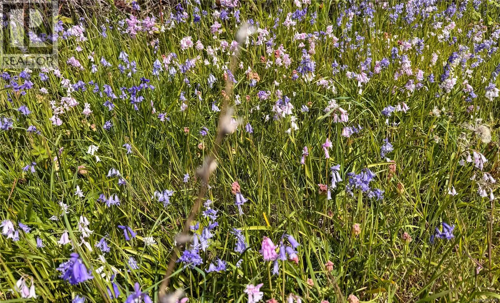 Lot B Rocky Point Rd
