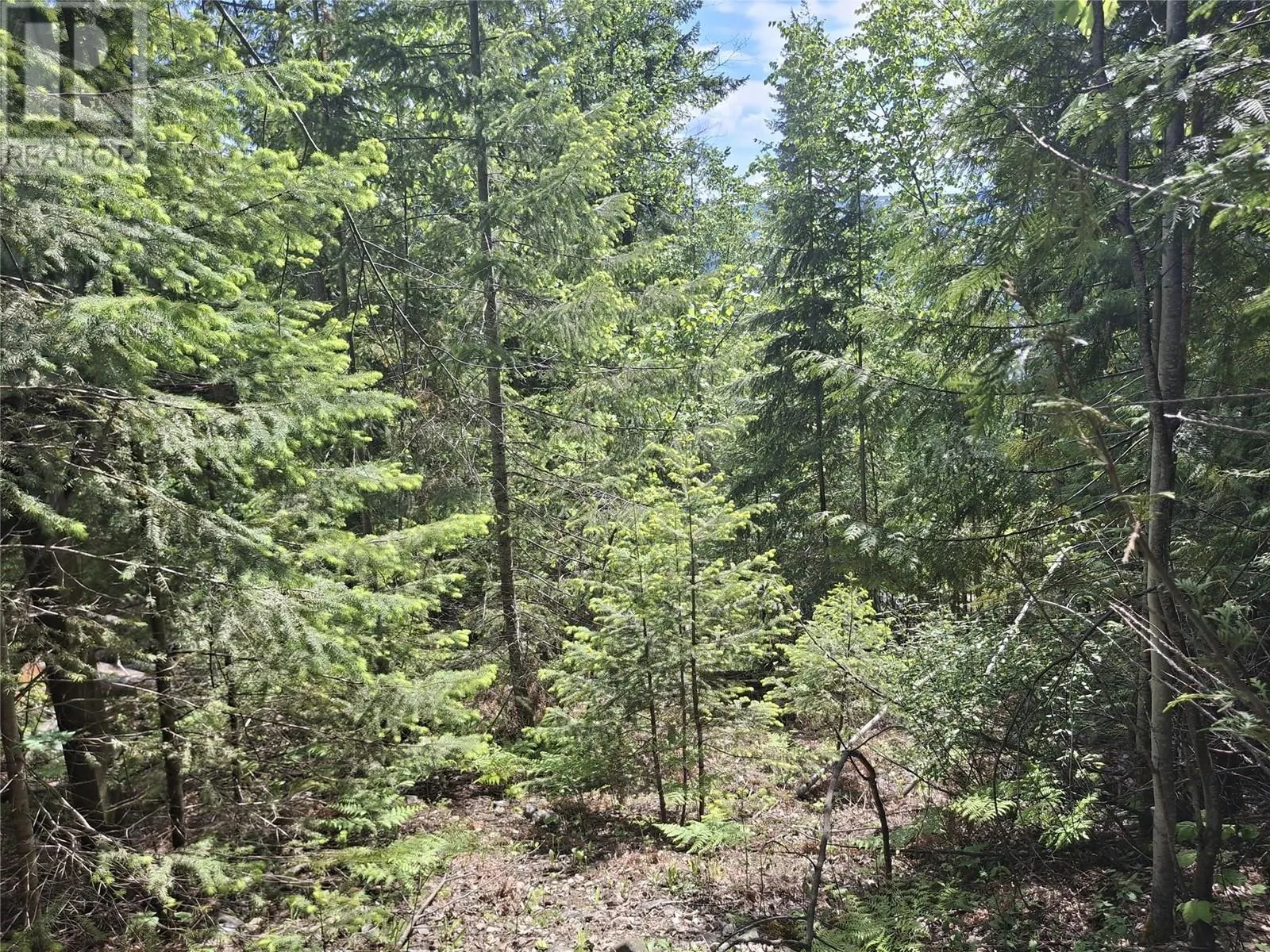 Lot 69 Castle Heights