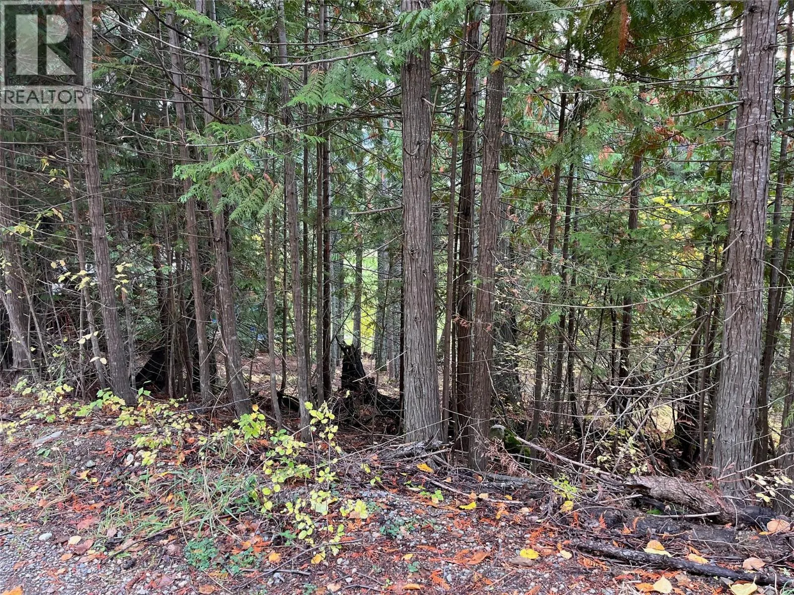 Lot 138 Columbia Drive Lot# 138
