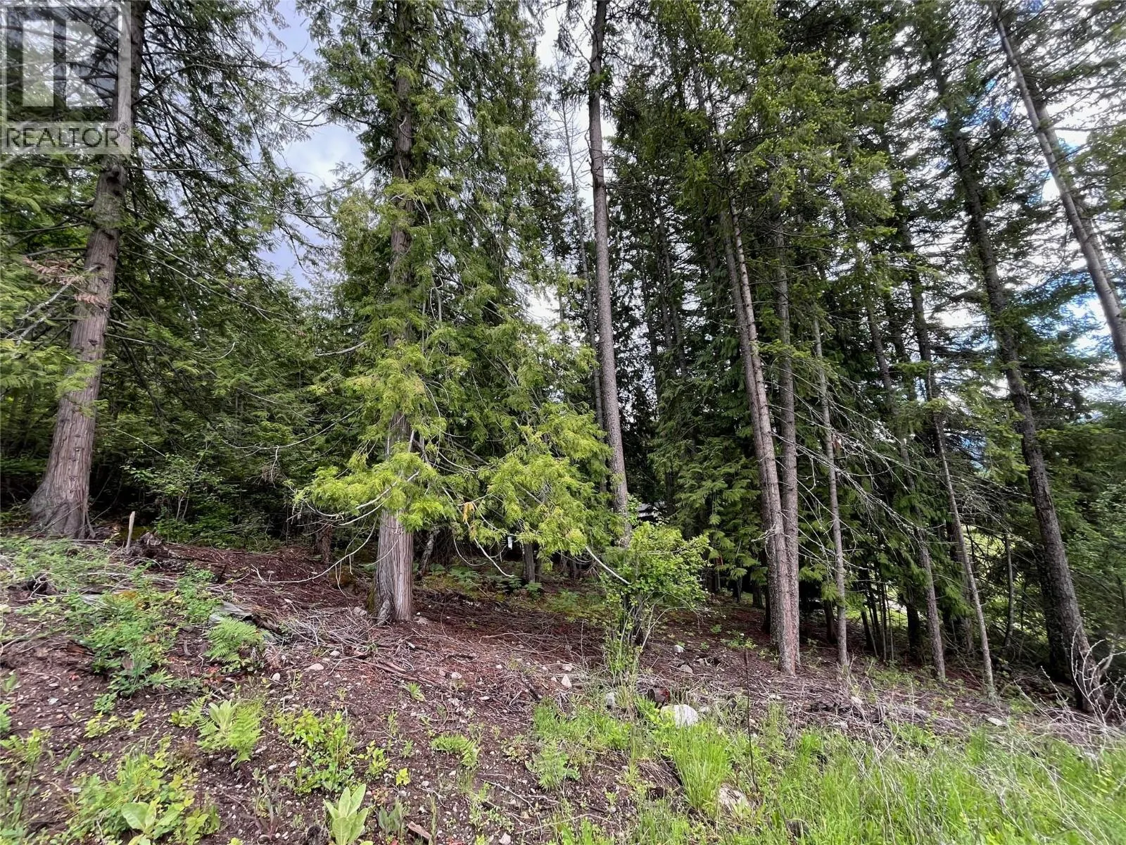 Lot 138 Columbia Drive Lot# 138