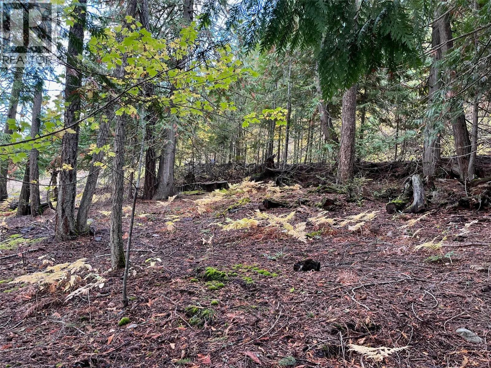 Lot 138 Columbia Drive Lot# 138