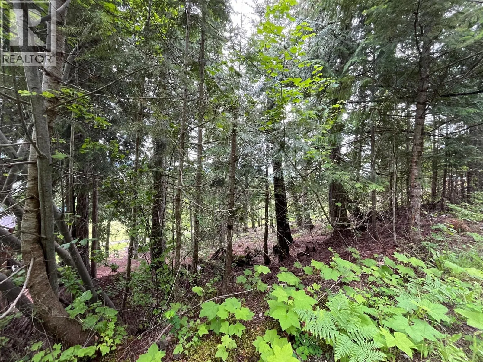 Lot 138 Columbia Drive Lot# 138