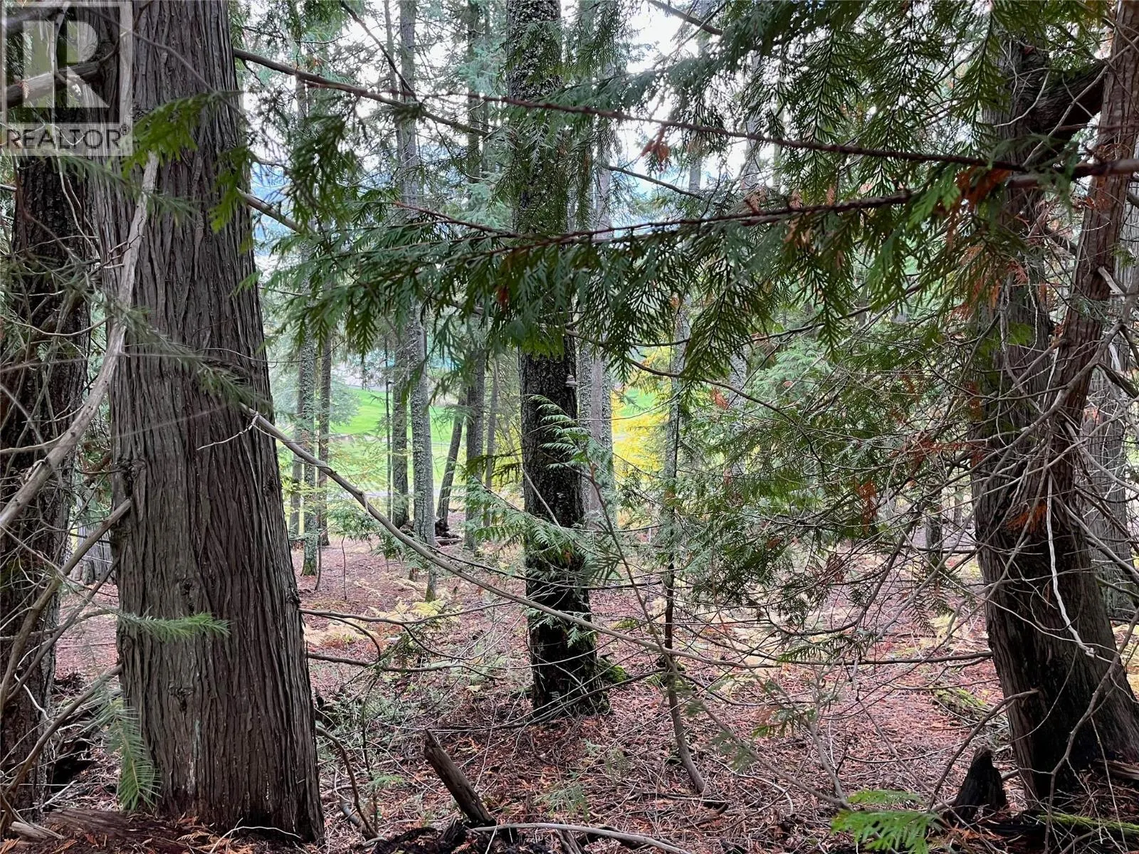 Lot 138 Columbia Drive Lot# 138