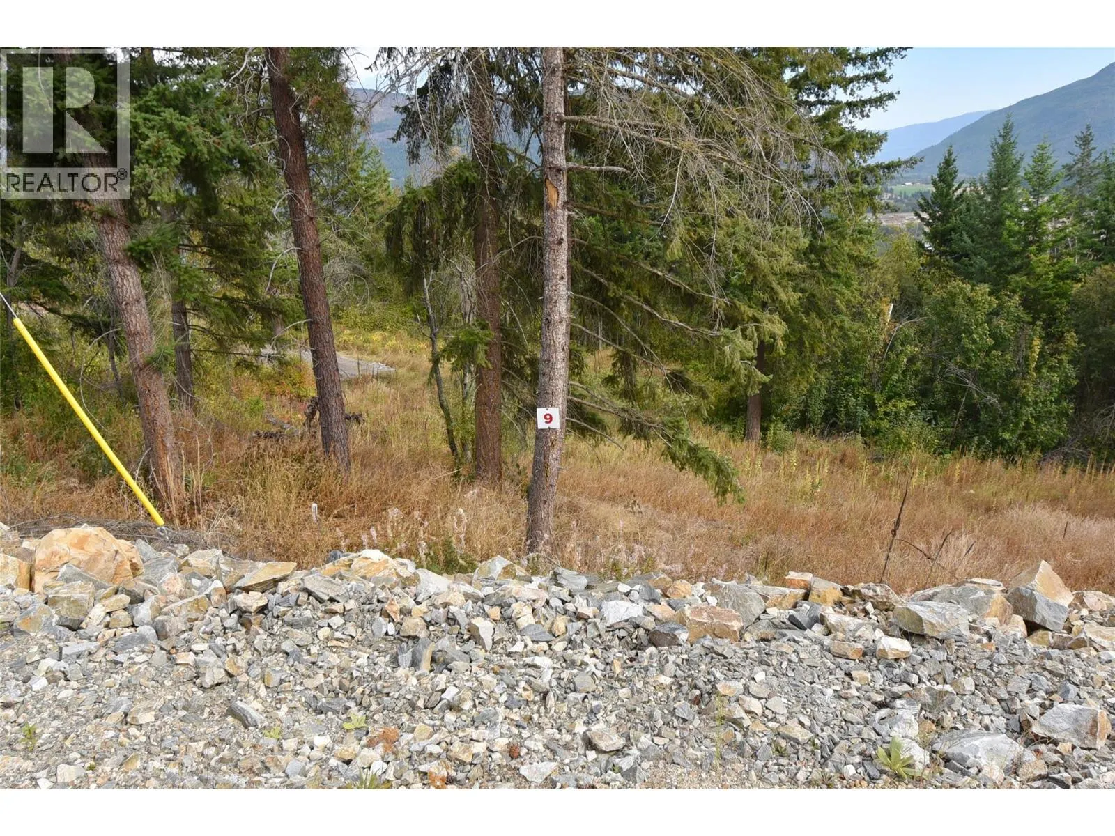 201 Crooked Pine Road