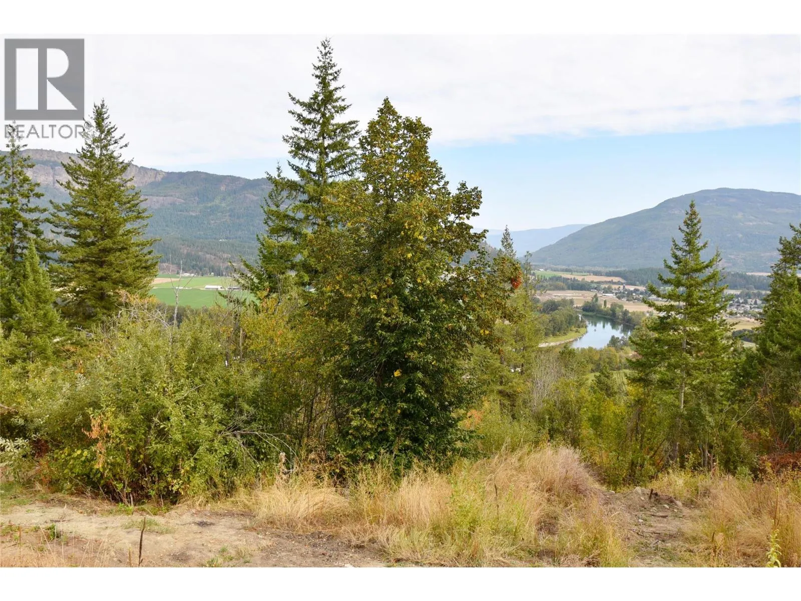 207 Crooked Pine Road