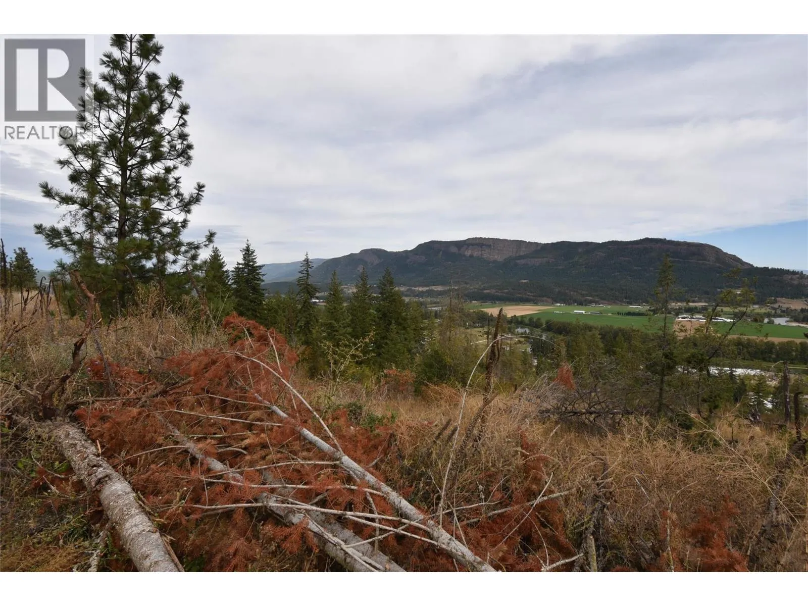 231 Crooked Pine Road