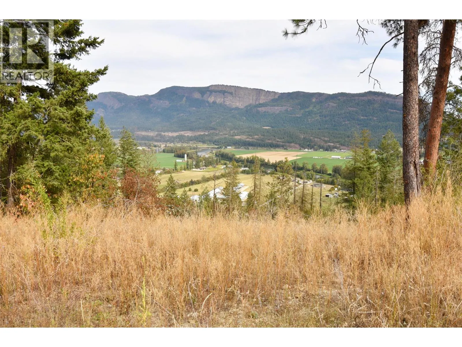 237 Crooked Pine Road