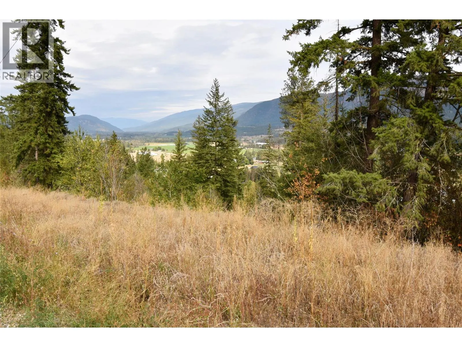 237 Crooked Pine Road