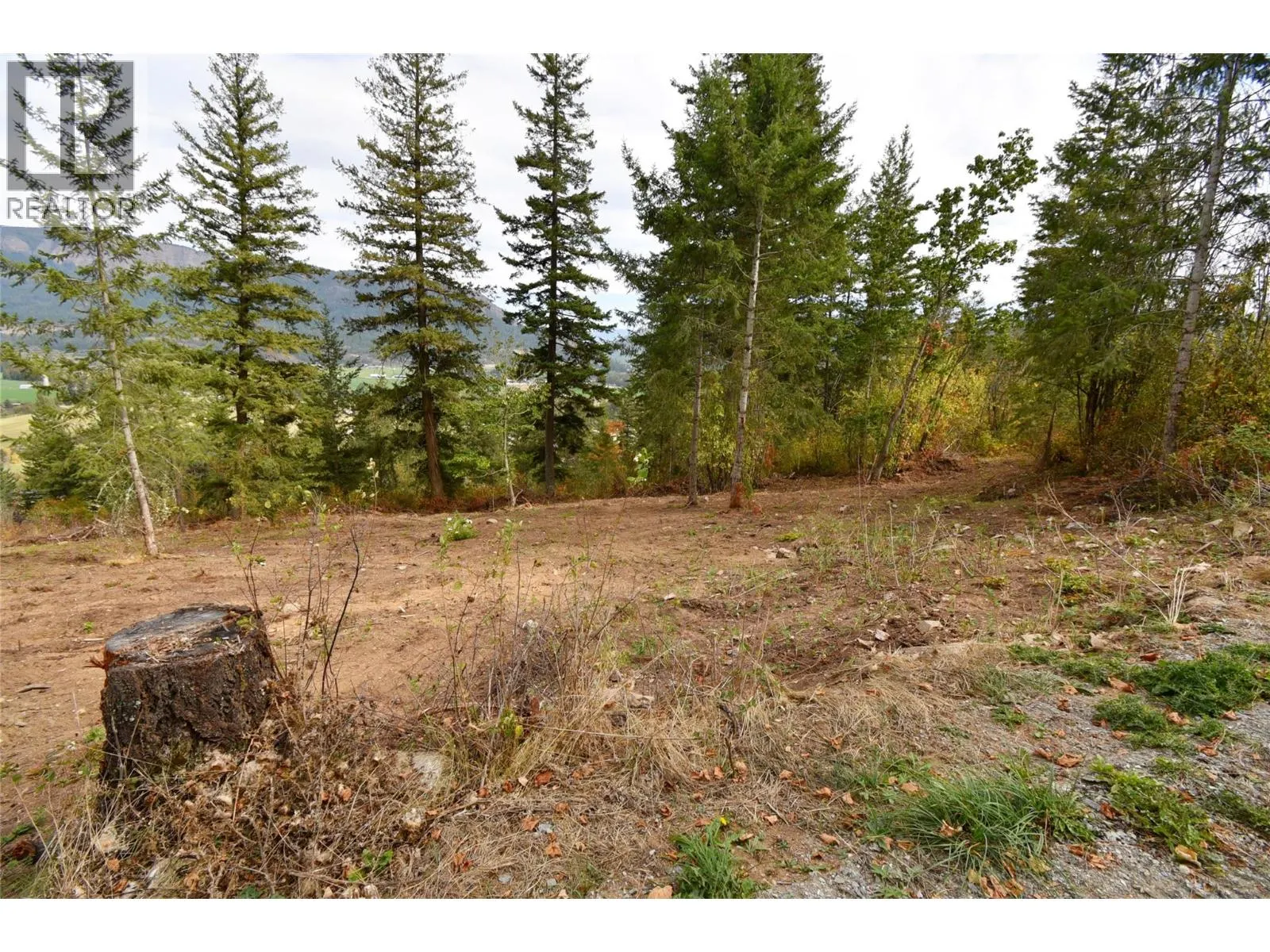 243 Crooked Pine Road