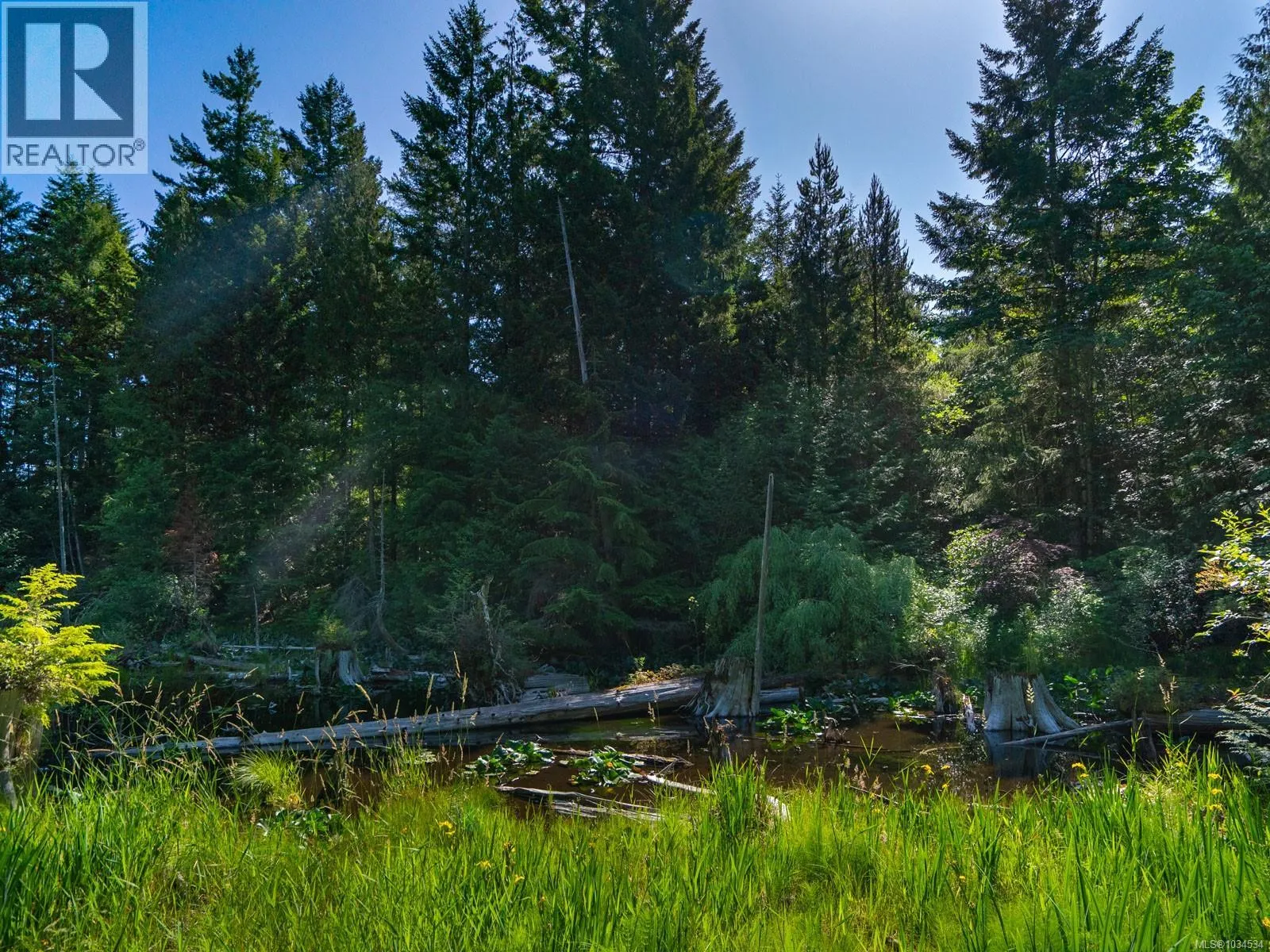 1055 Spider Lake Rd