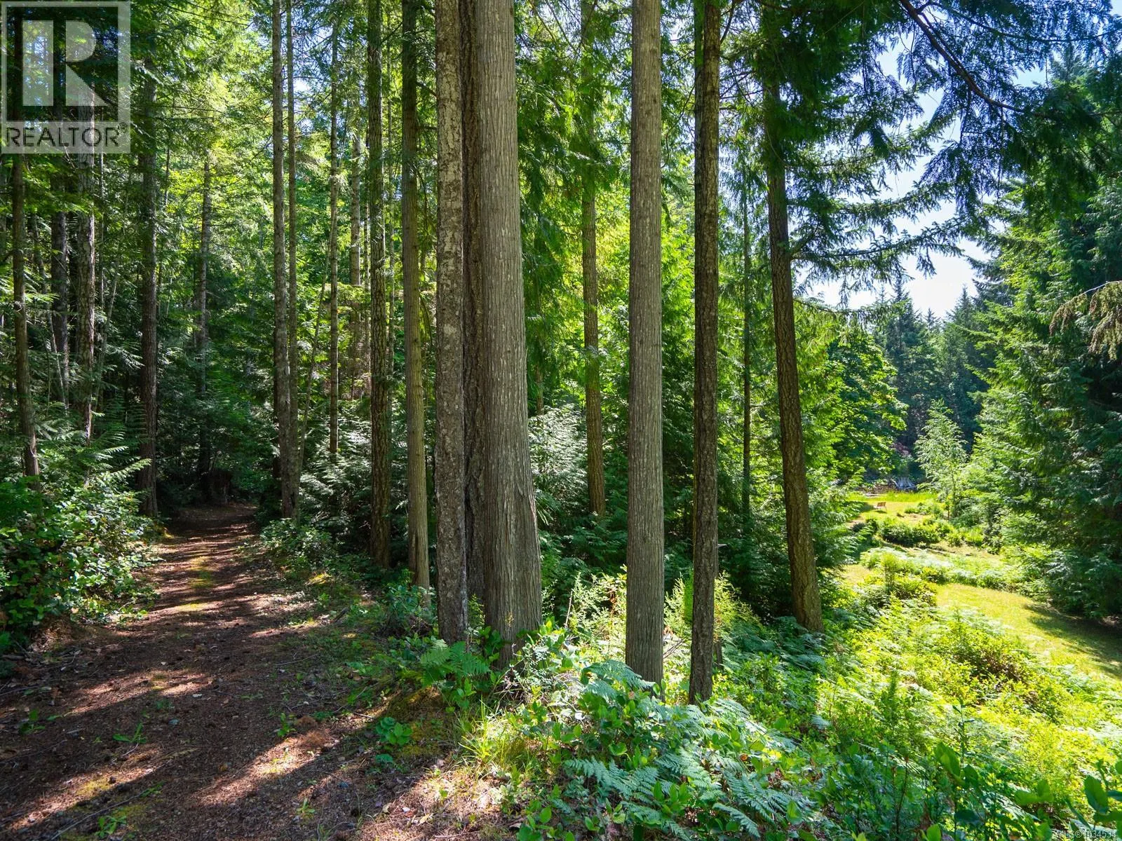 1055 Spider Lake Rd