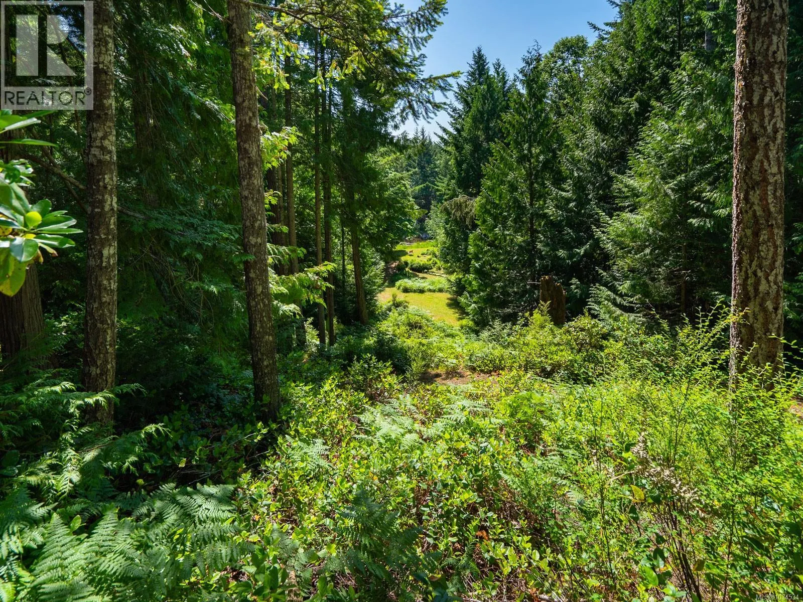 1055 Spider Lake Rd