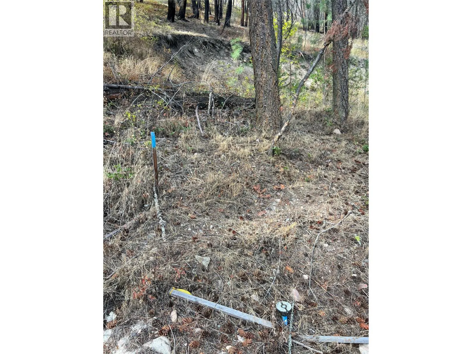 9308 Winchester Road Lot# 53