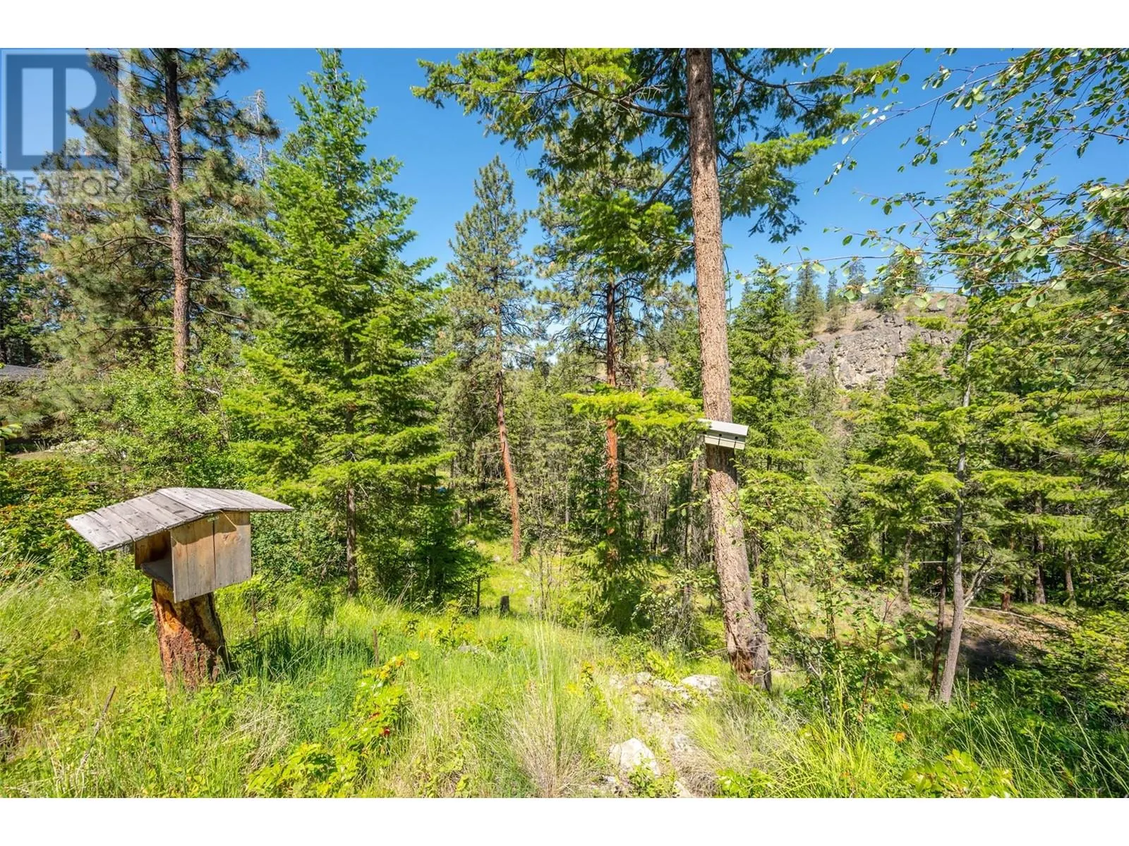 3175 Juniper Drive