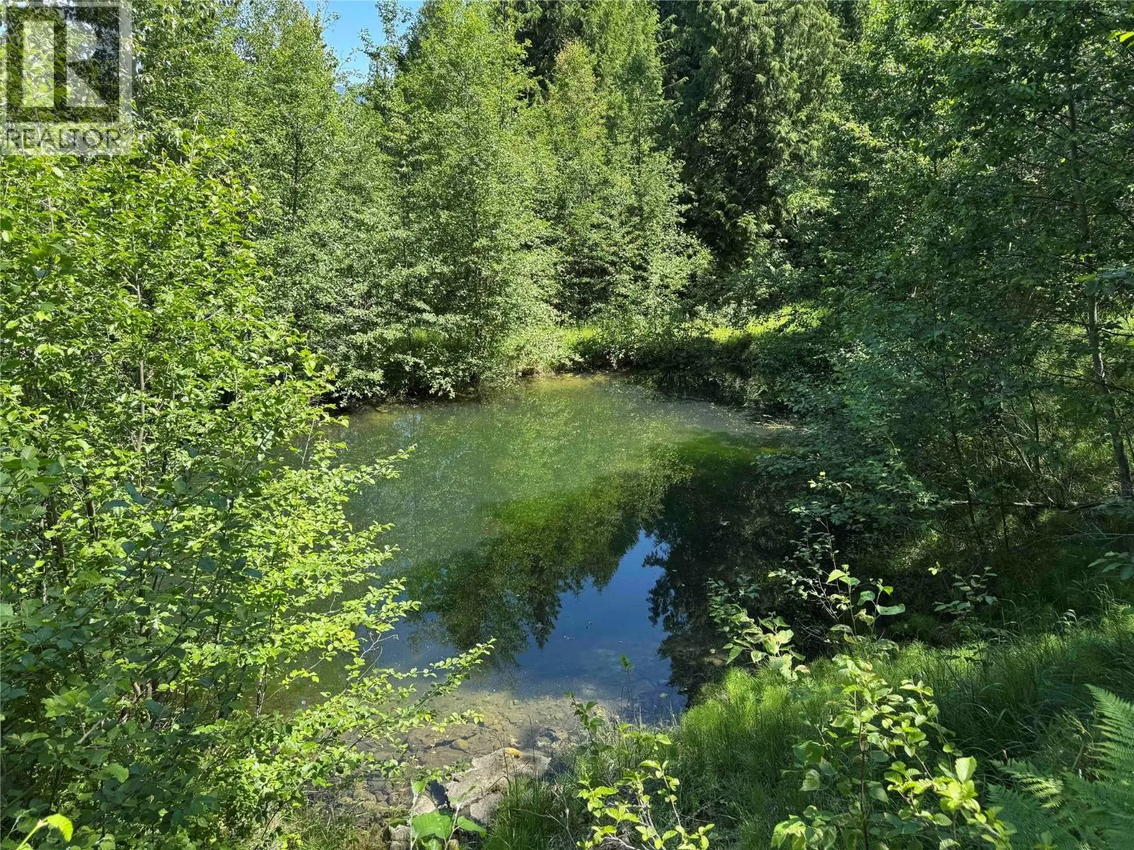 4399 Bird Creek Road