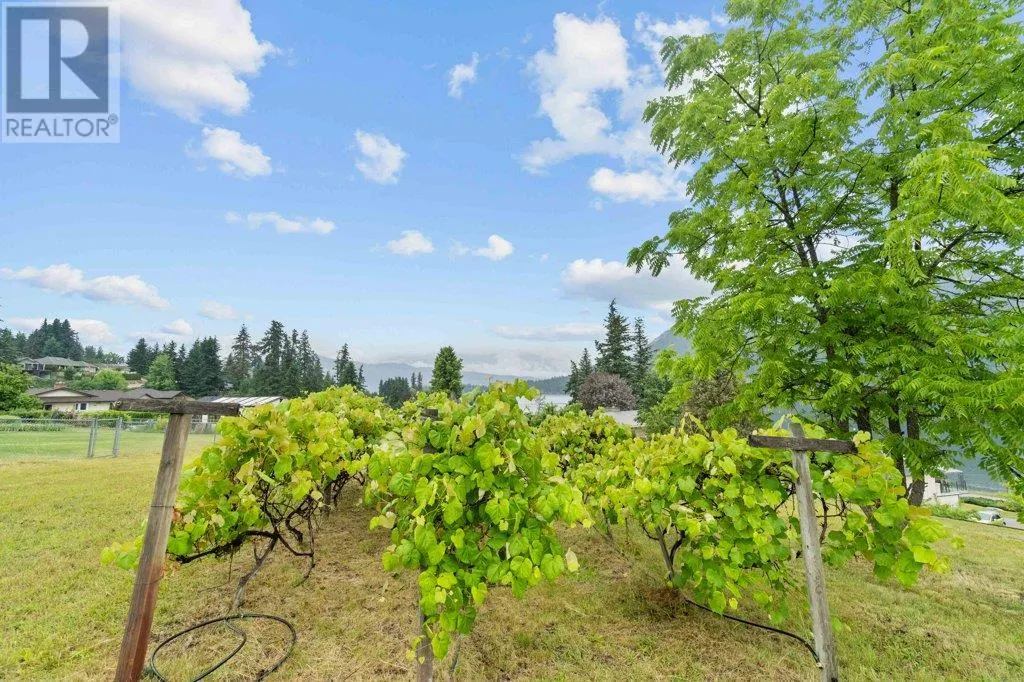 2504 Blind Bay Road