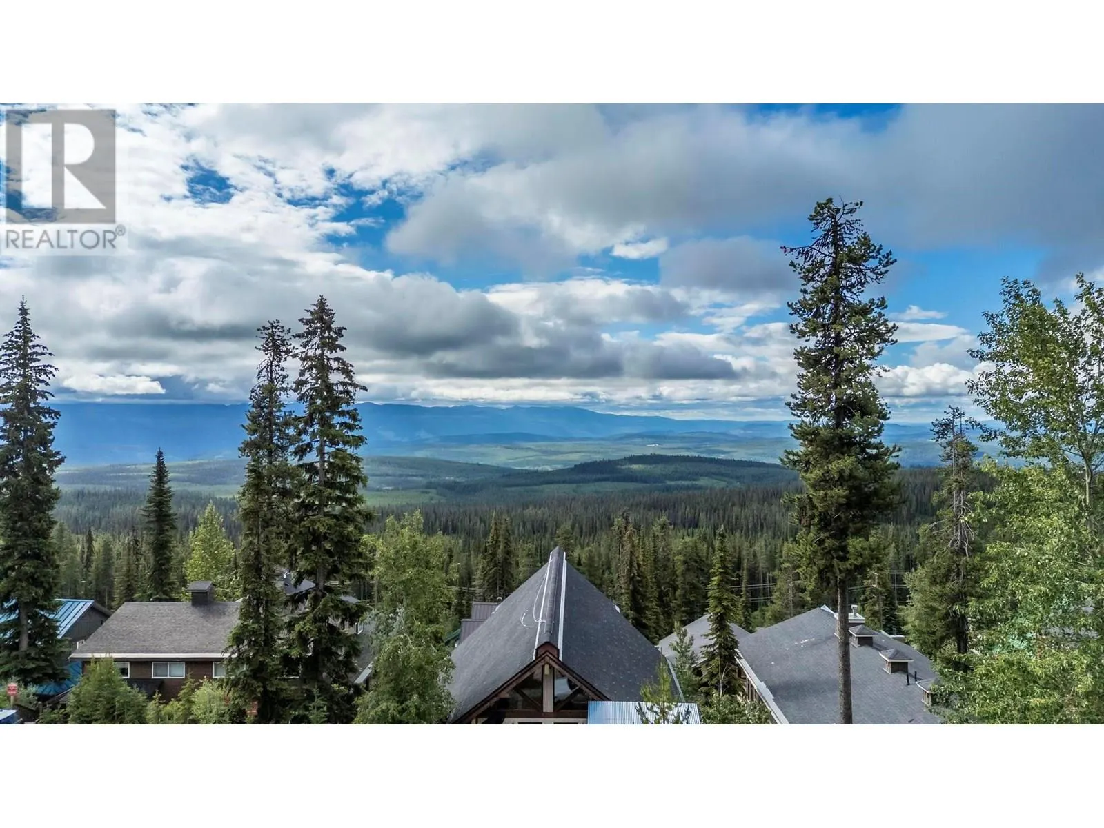 5895 Snow Pines Way Unit# 1