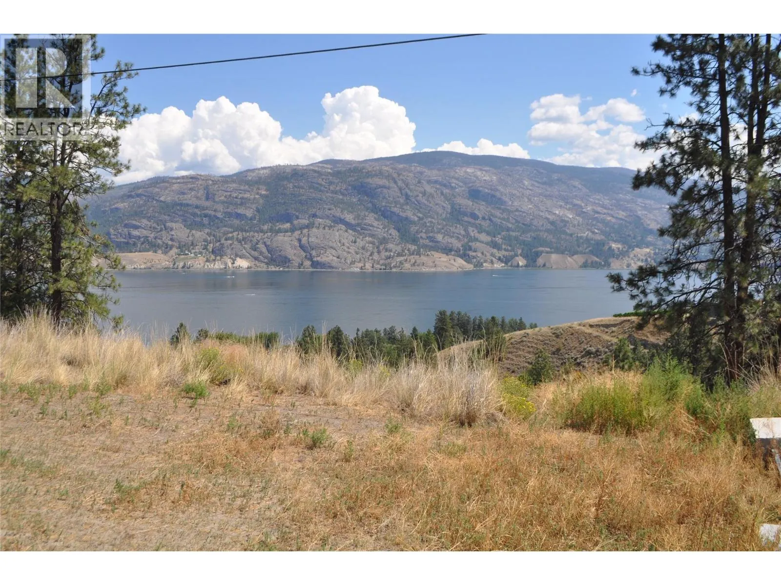 910 Pineview Drive