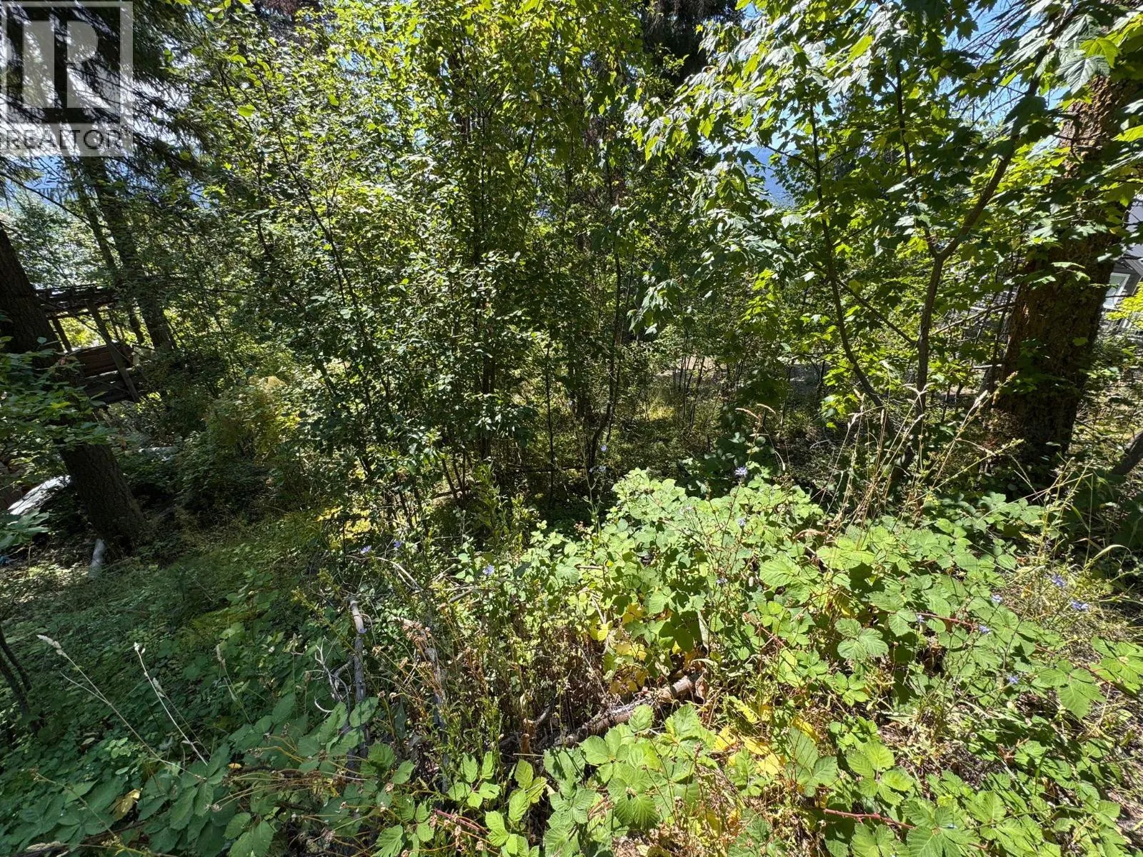 Lonneke Trail Lot# 52