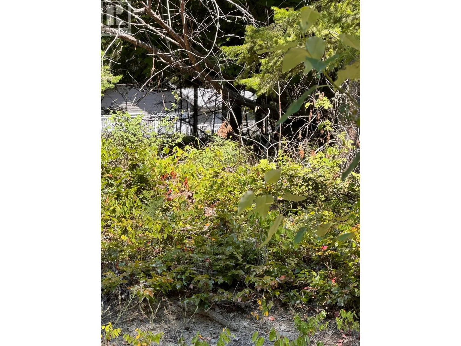 Lonneke Trail Lot# 52
