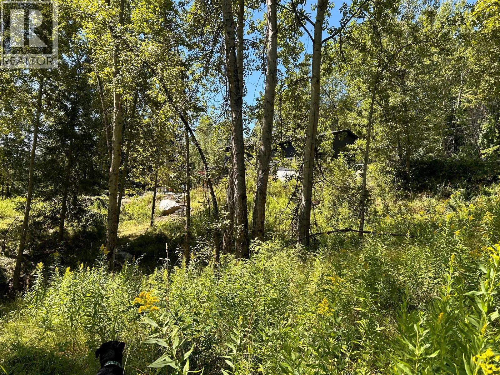 Phoenix Avenue Lot# Parcel A