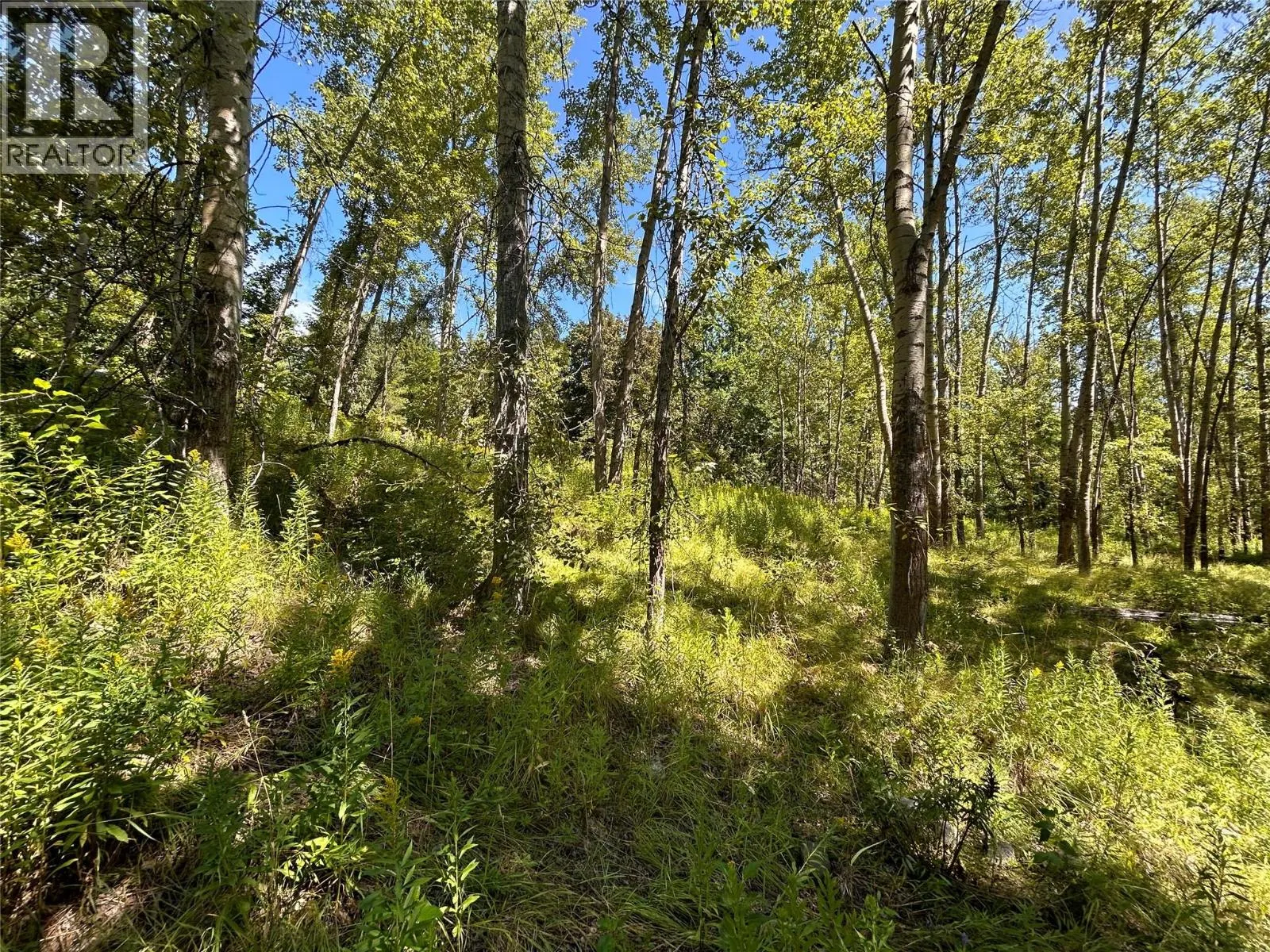 Phoenix Avenue Lot# Parcel A