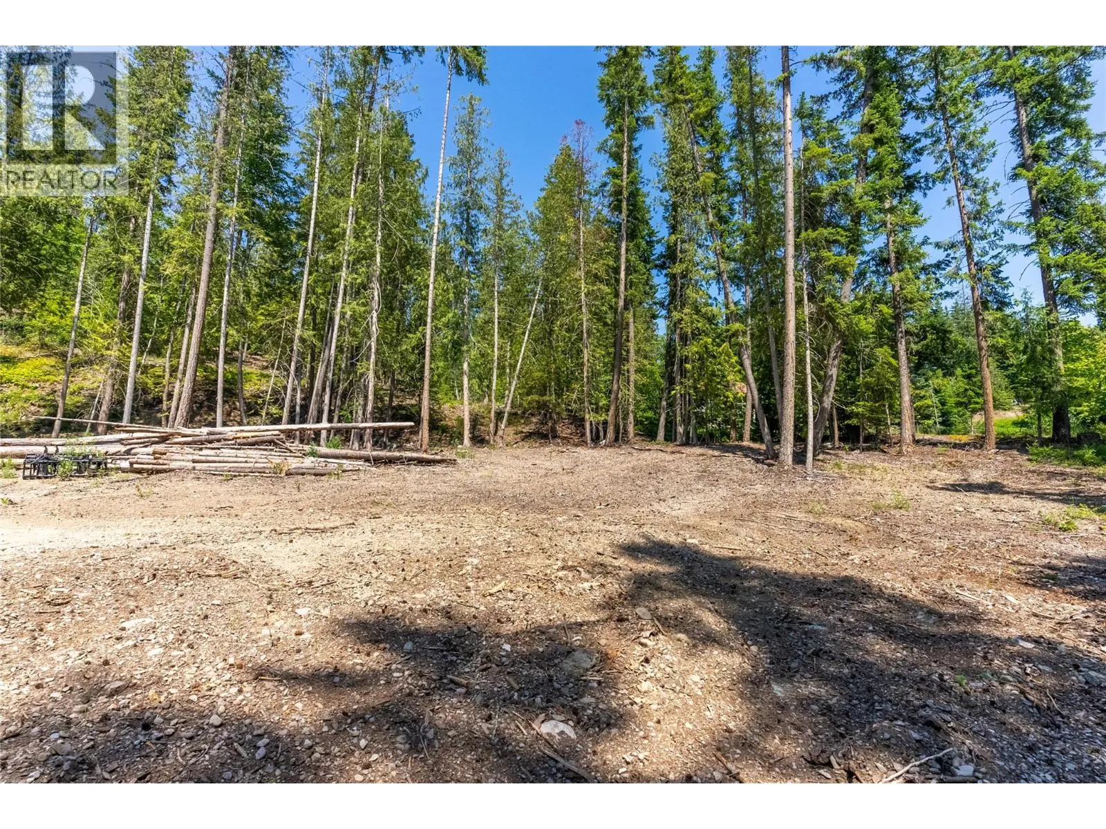 5828 Squilax Anglemont Road Unit# 2 Lots