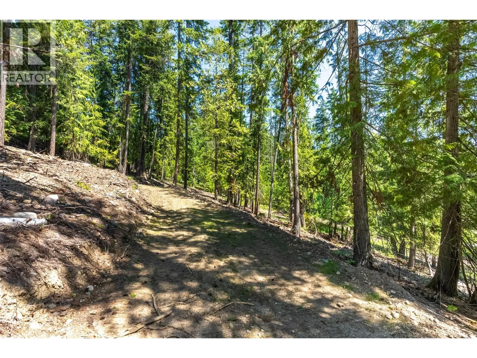 5828 Squilax Anglemont Road Unit# 2 Lots