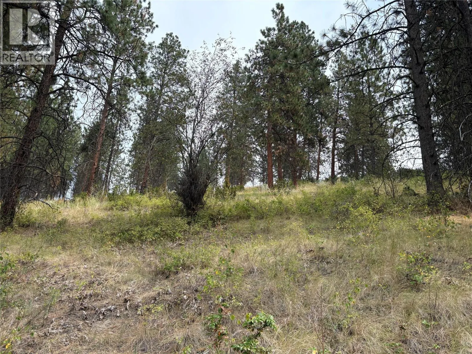 4491 Hebbert Road