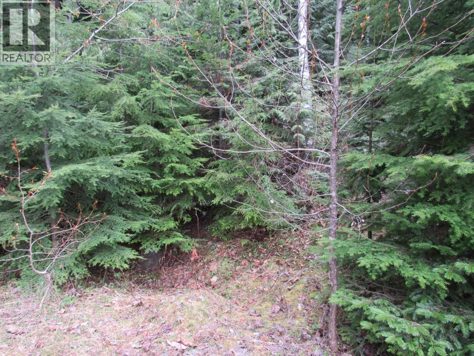 Lot B 3 Highway