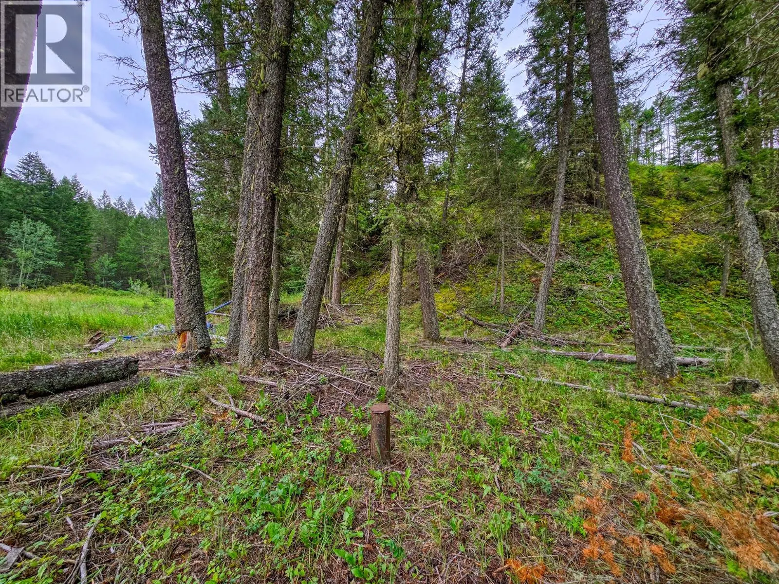 Lot 1 62 MILE Road