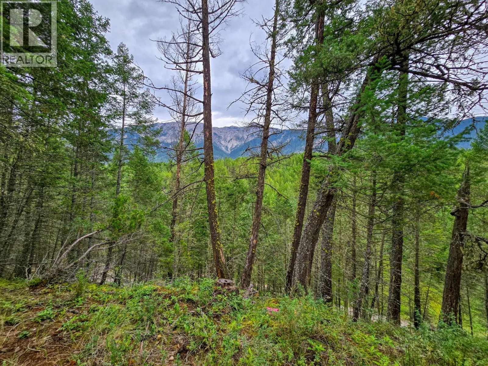 Lot 1 62 MILE Road