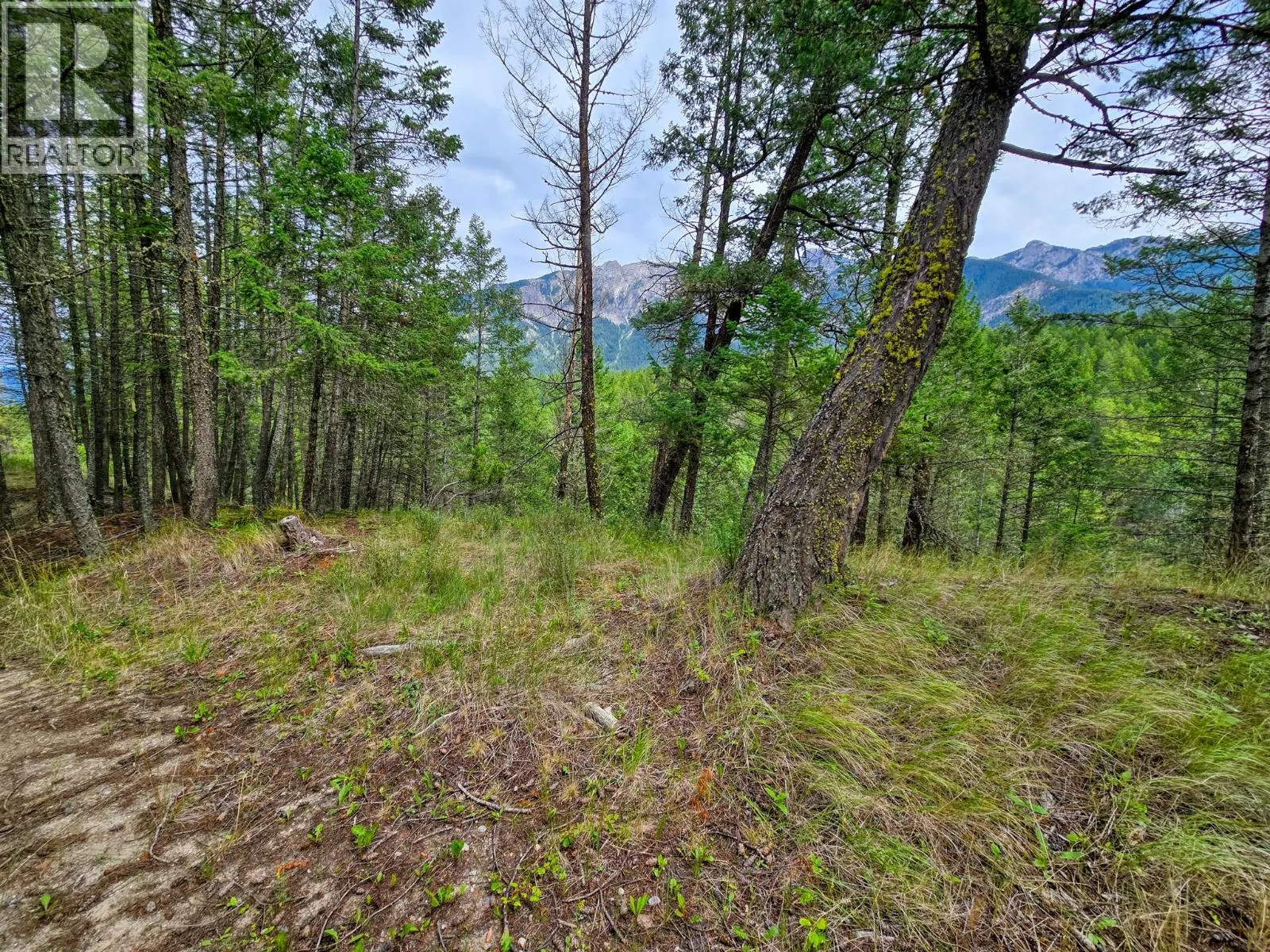 Lot 1 62 MILE Road