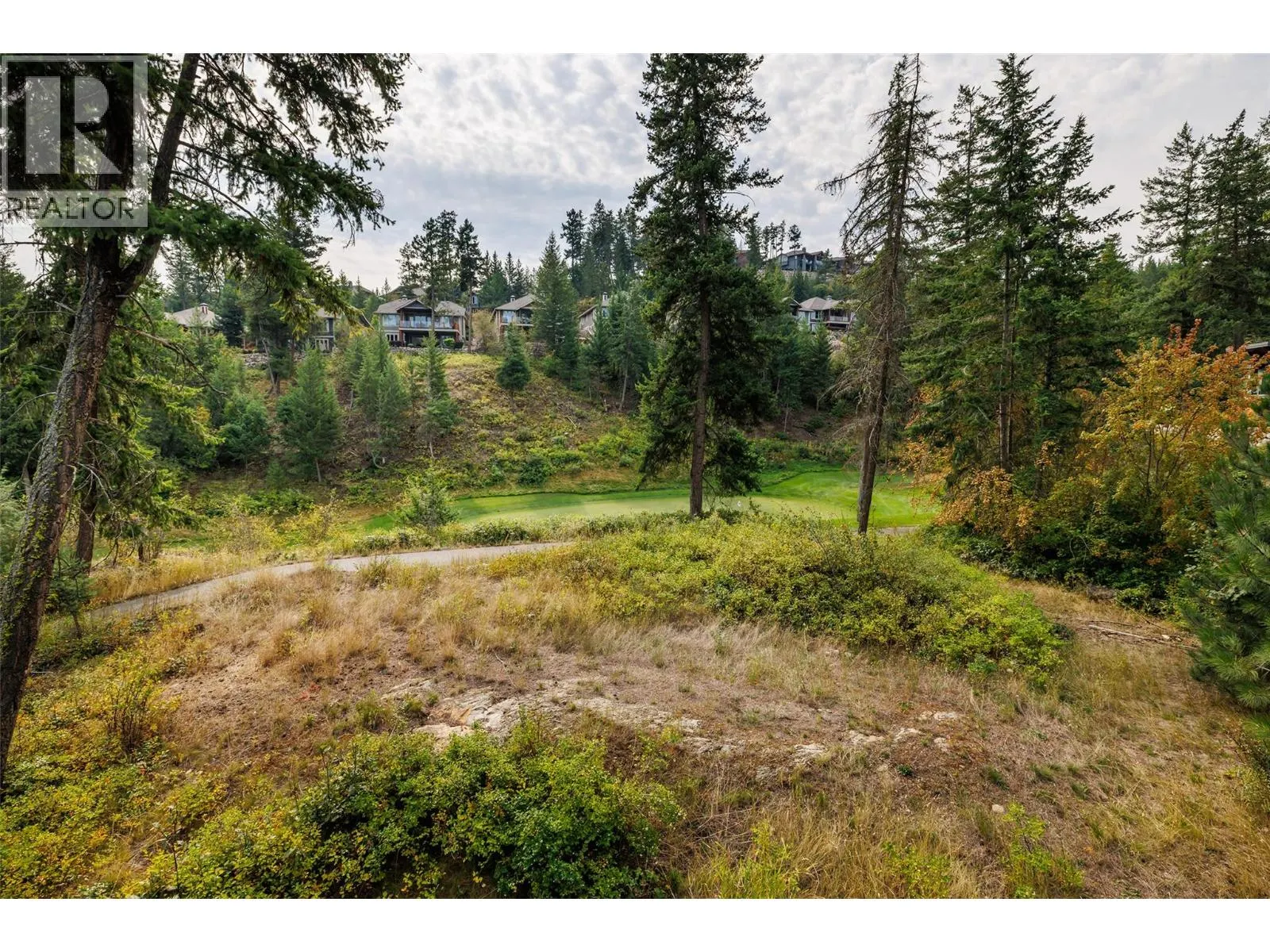436 Predator Ridge Drive