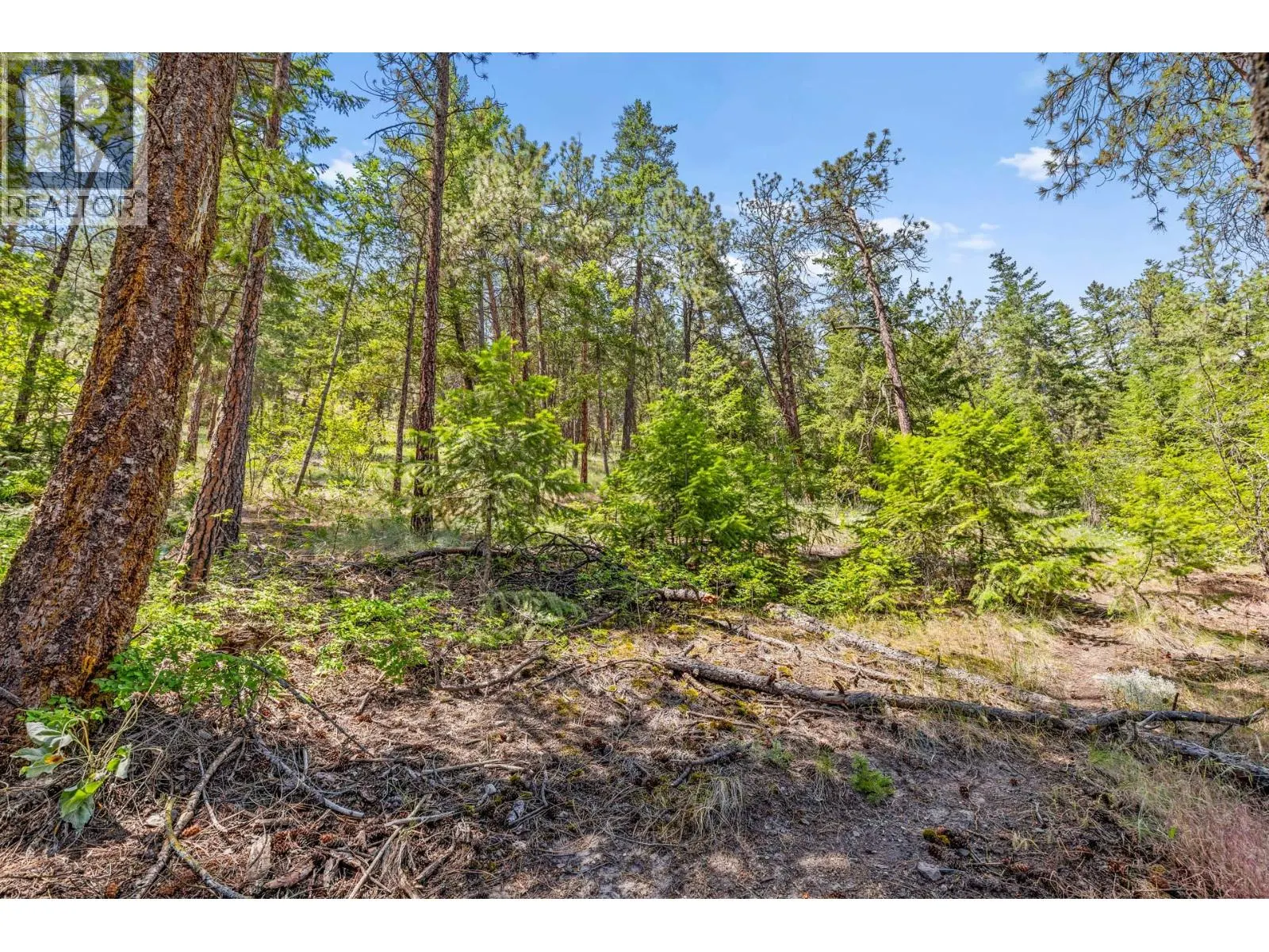 125 Applecrest Court