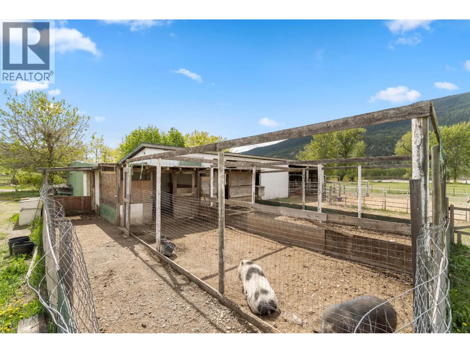 157 BINGO RANCH Road